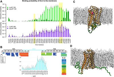 Lipids and Phosphorylation Conjointly Modulate Complex Formation of β2-Adrenergic Receptor and β-arrestin2